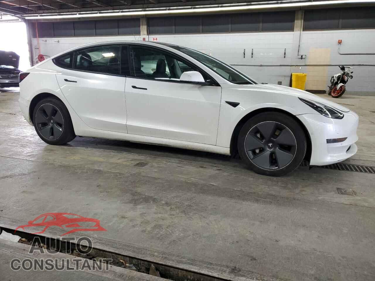TESLA MODEL 3 2021 - 5YJ3E1EA2MF919785