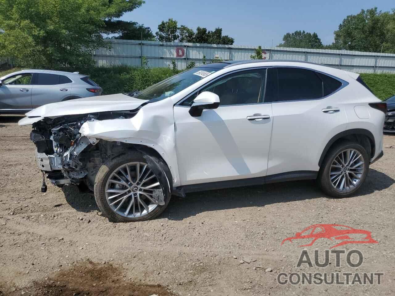 LEXUS NX 350H BA 2025 - 2T2HKCEZ0SC037592