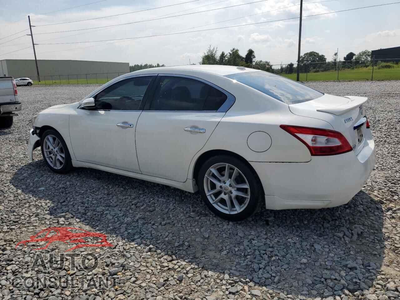 NISSAN MAXIMA 2011 - 1N4AA5AP9BC840778