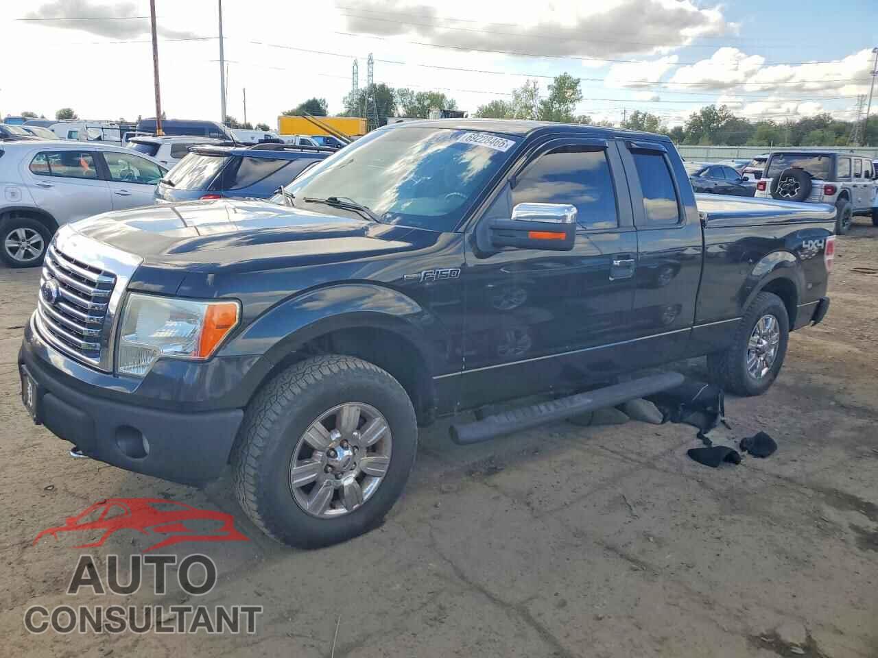 FORD F150 2010 - 1FTFX1EV8AFC80622
