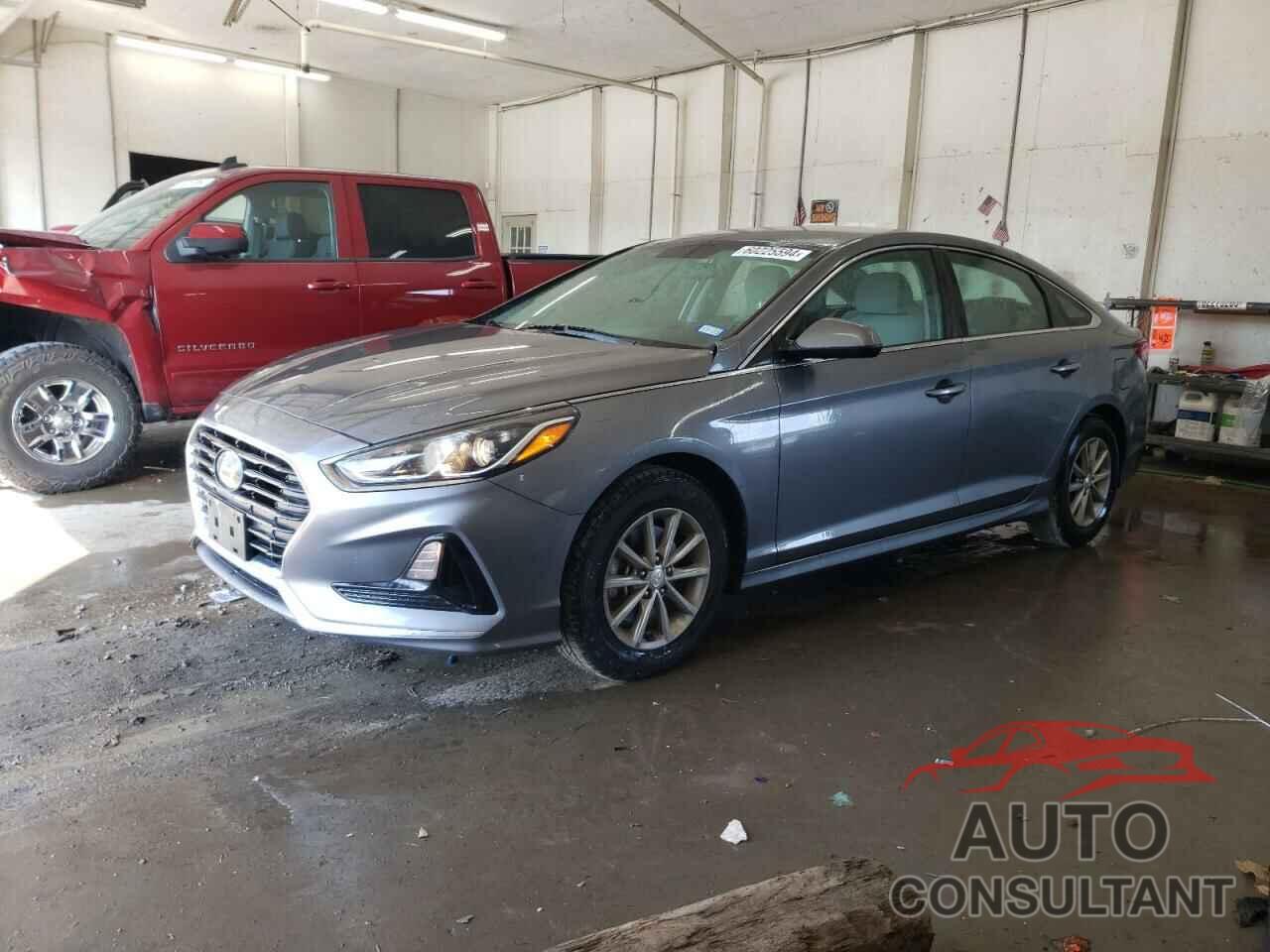 HYUNDAI SONATA 2019 - 5NPE24AF3KH773772