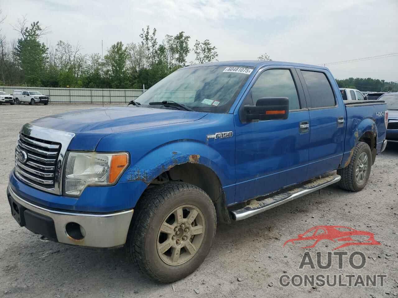 FORD F-150 2011 - 1FTFW1EFXBKD75946