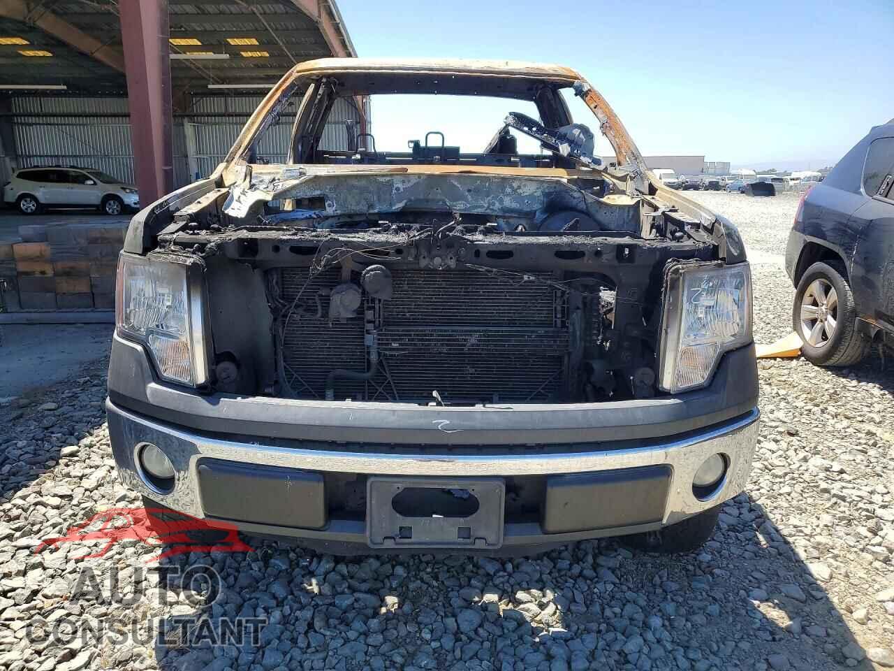 FORD F150 2011 - 1FTMF1CM6BKD44640