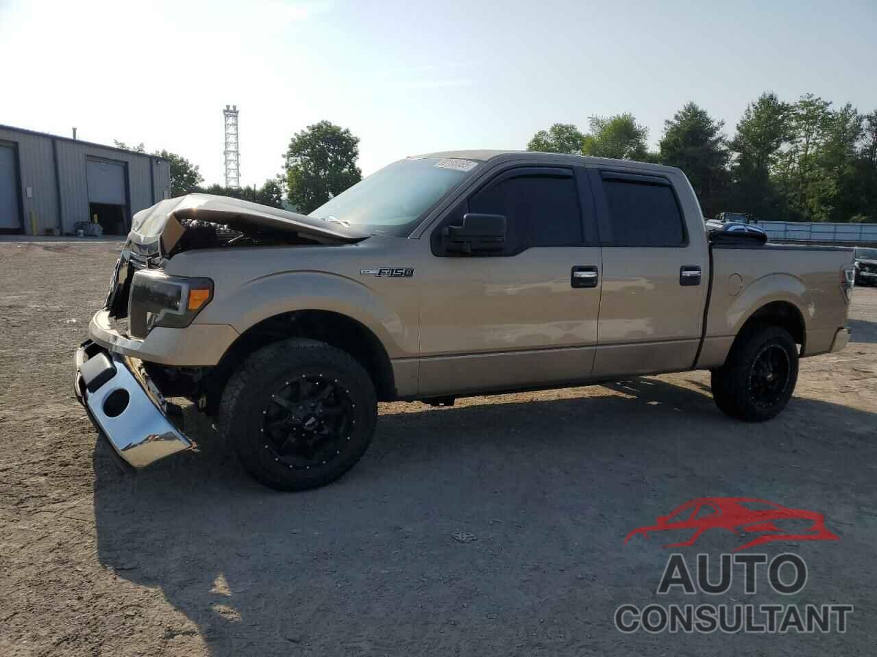 FORD F-150 2011 - 1FTFW1CF0BKD10820