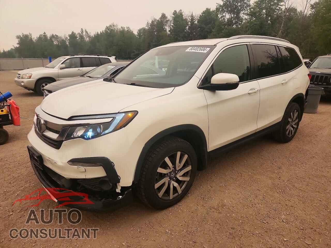 HONDA PILOT 2021 - 5FNYF6H74MB506685