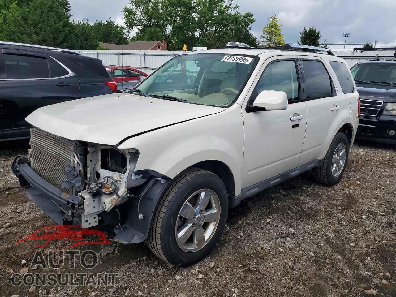 FORD ESCAPE 2010 - 1FMCU0EG3AKB95746