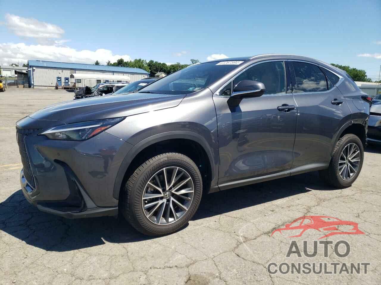 LEXUS NX 350H 2022 - JTJGKCEZ4N2004806