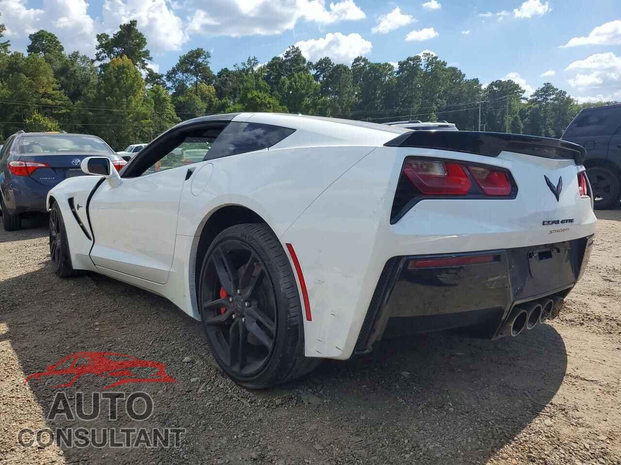 CHEVROLET CORVETTE 2019 - 1G1YB2D71K5106830