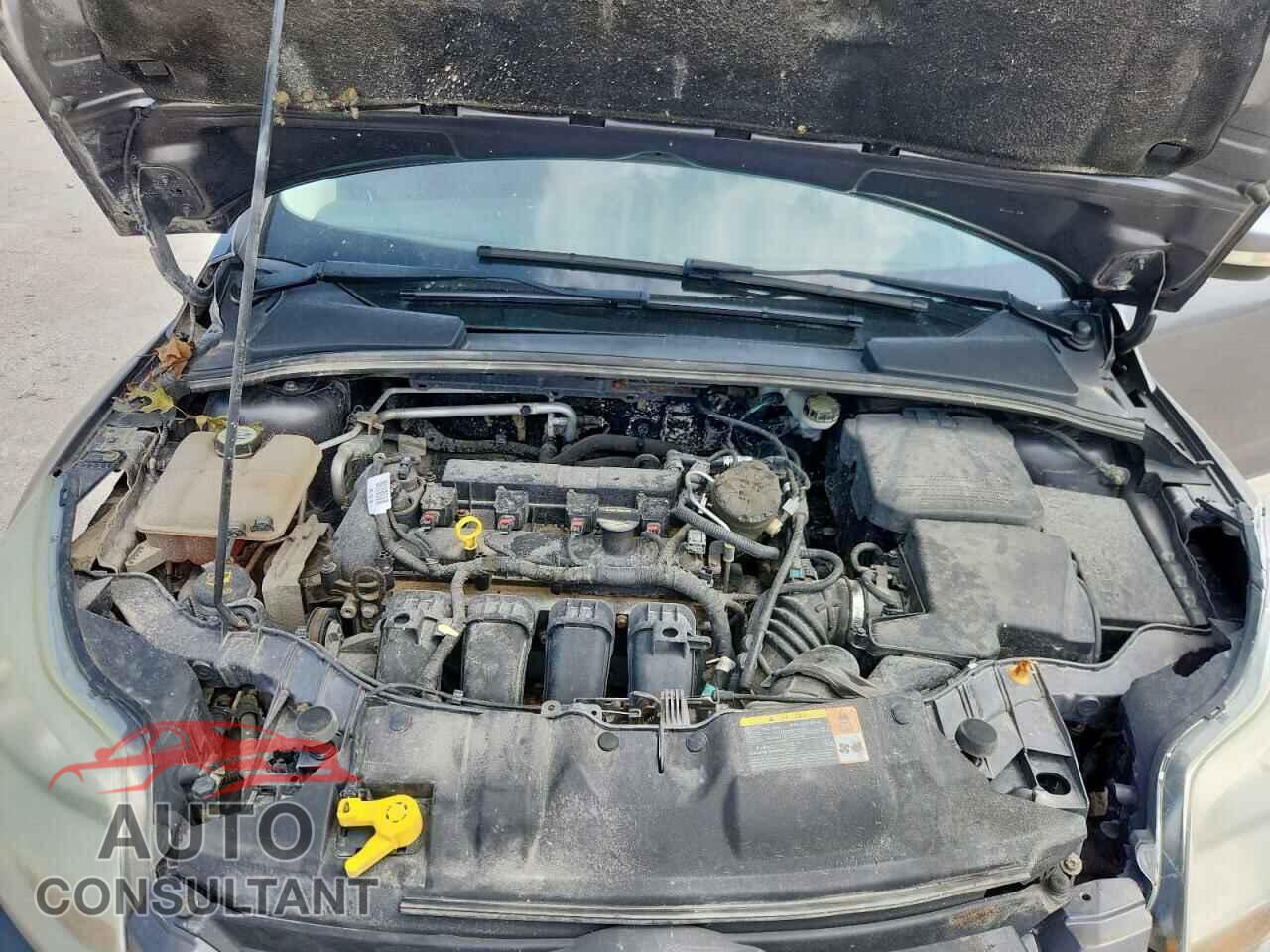 FORD FOCUS 2013 - 1FADP3F20DL237606