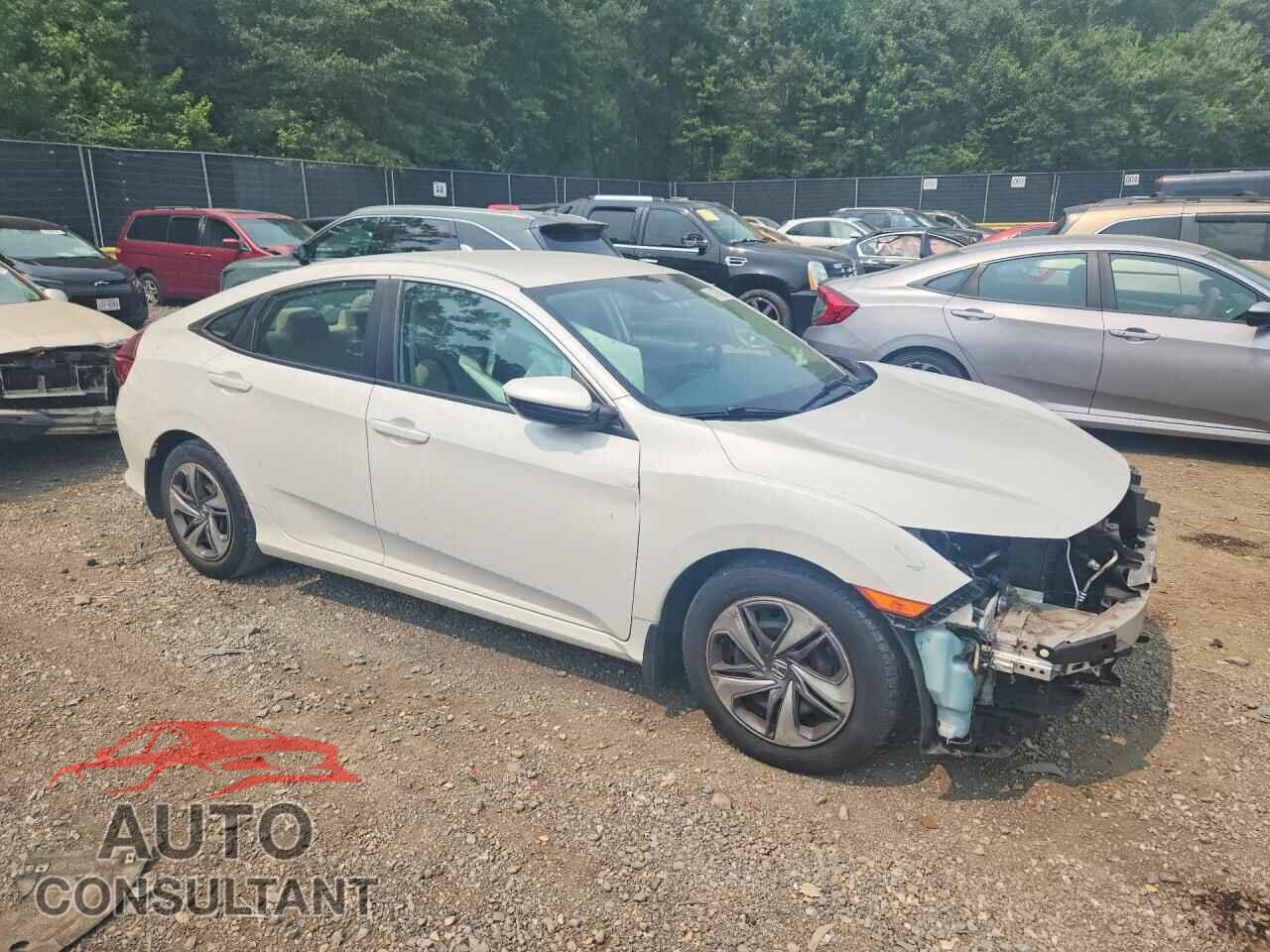 HONDA CIVIC 2019 - 2HGFC2F66KH557617
