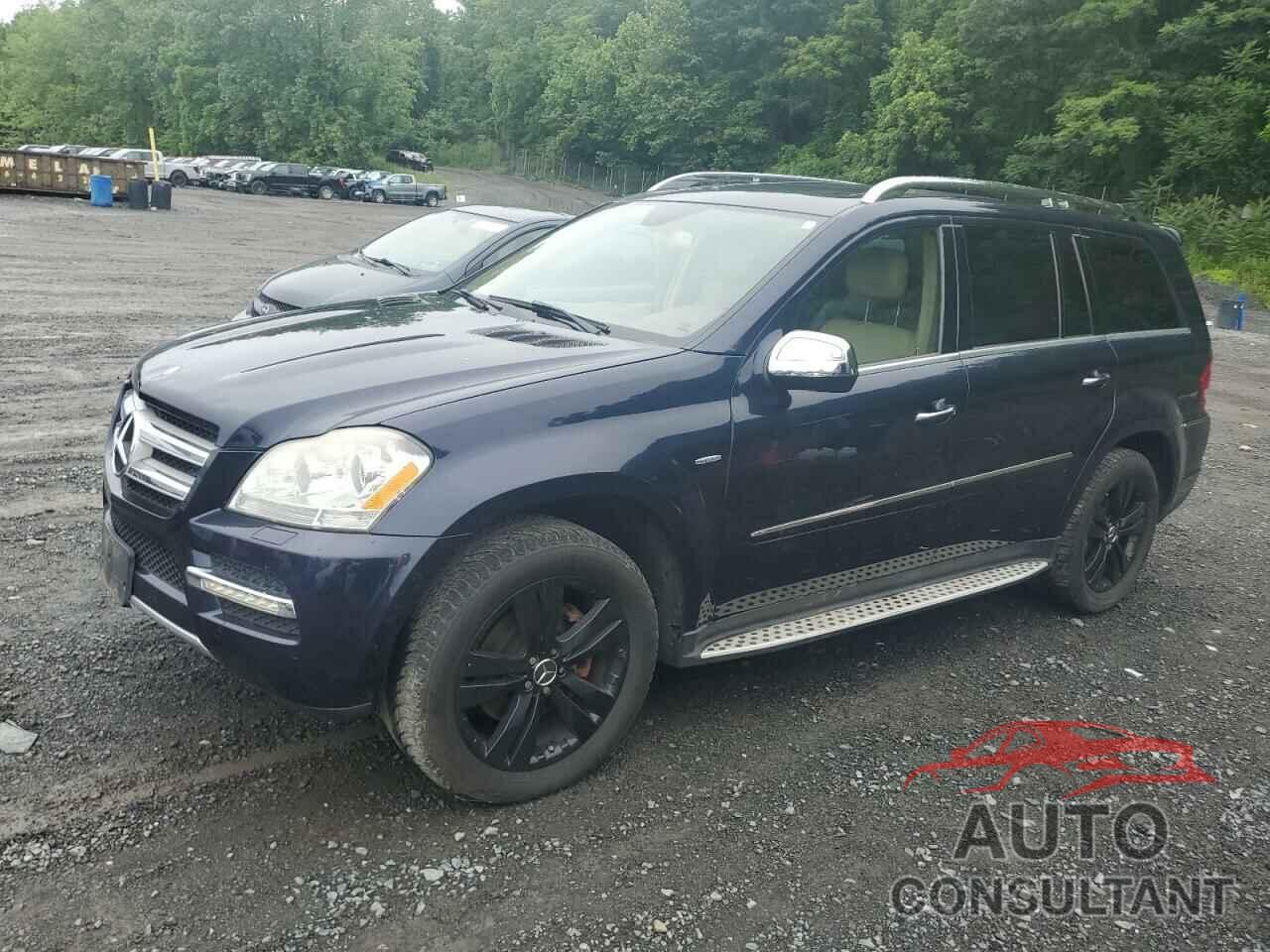 MERCEDES-BENZ GL-CLASS 2010 - 4JGBF2FE6AA552664