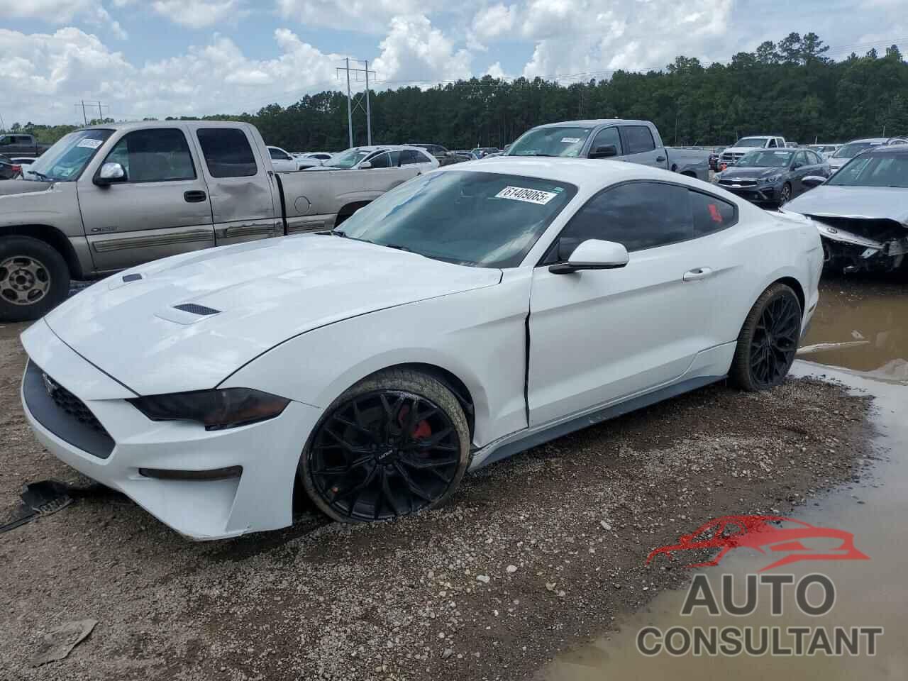 FORD ALL Models 2018 - 1FA6P8TH4J5105611