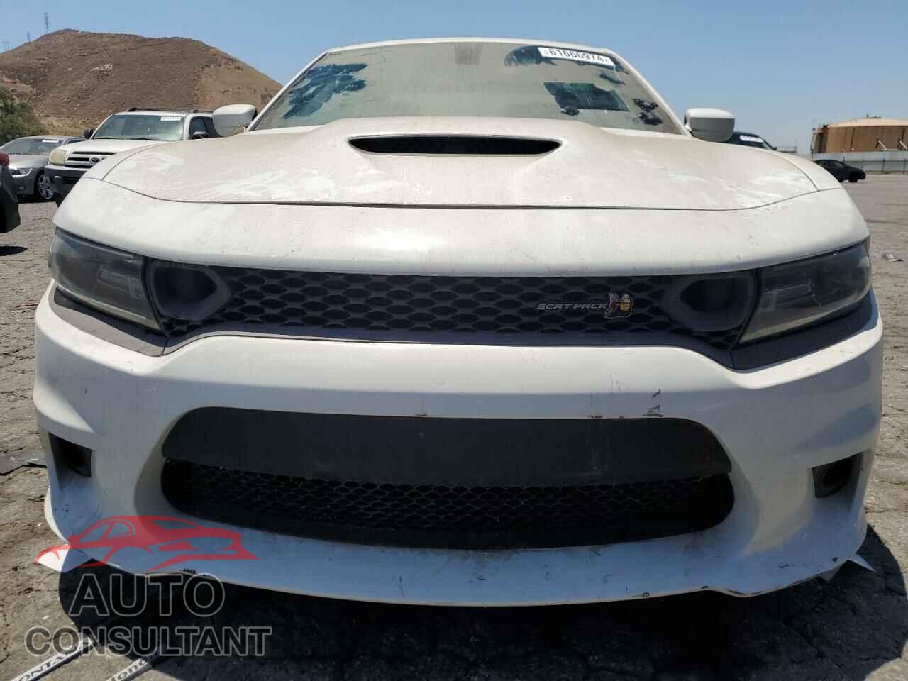 DODGE CHARGER 2019 - 2C3CDXGJ3KH511021