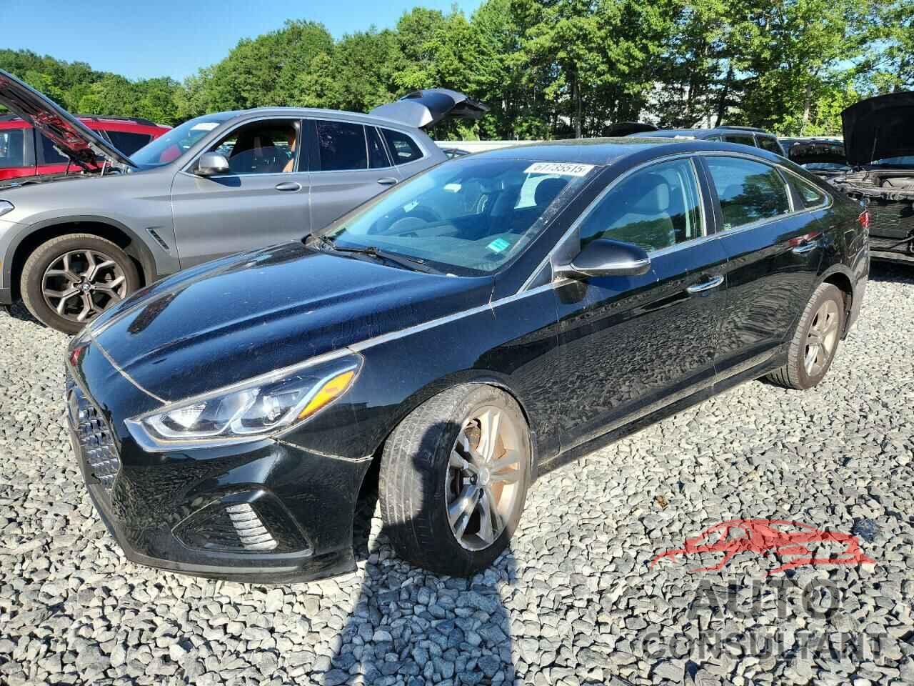 HYUNDAI SONATA 2019 - 5NPE34AF8KH807184