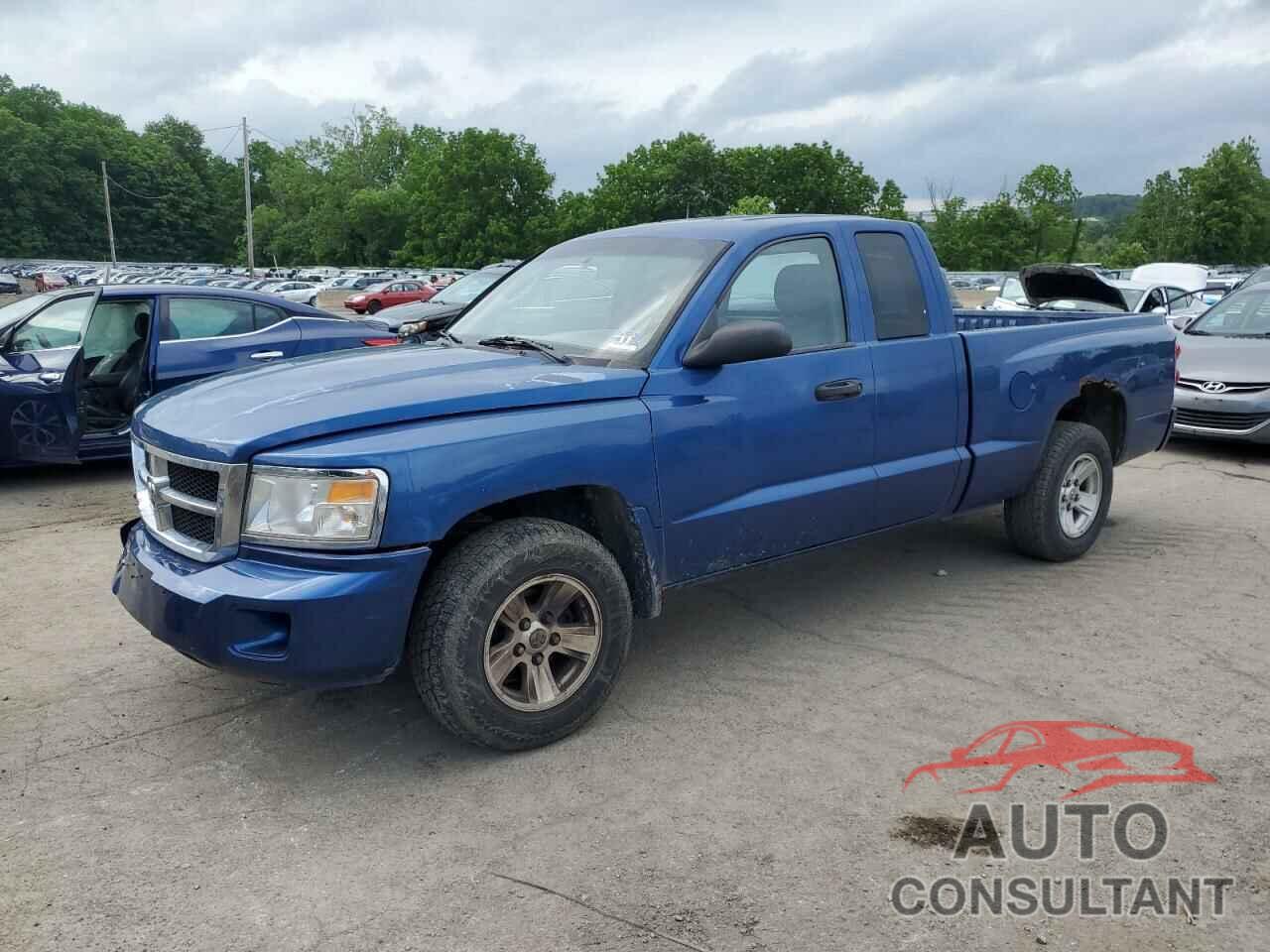 DODGE DAKOTA 2011 - 1D7RE2BK4BS691632