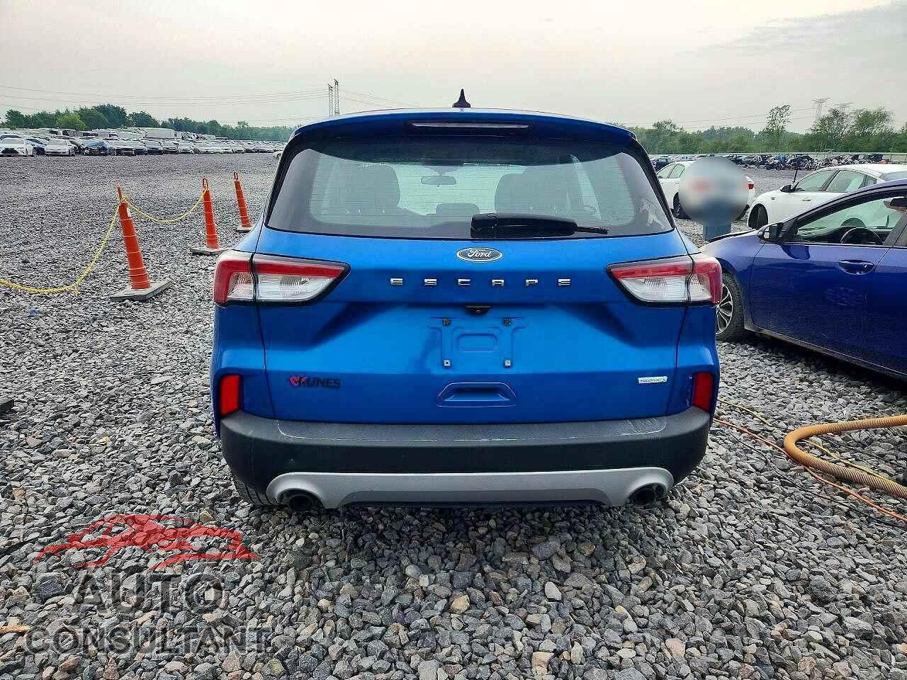 FORD ESCAPE 2020 - 1FMCU0F69LUC24891