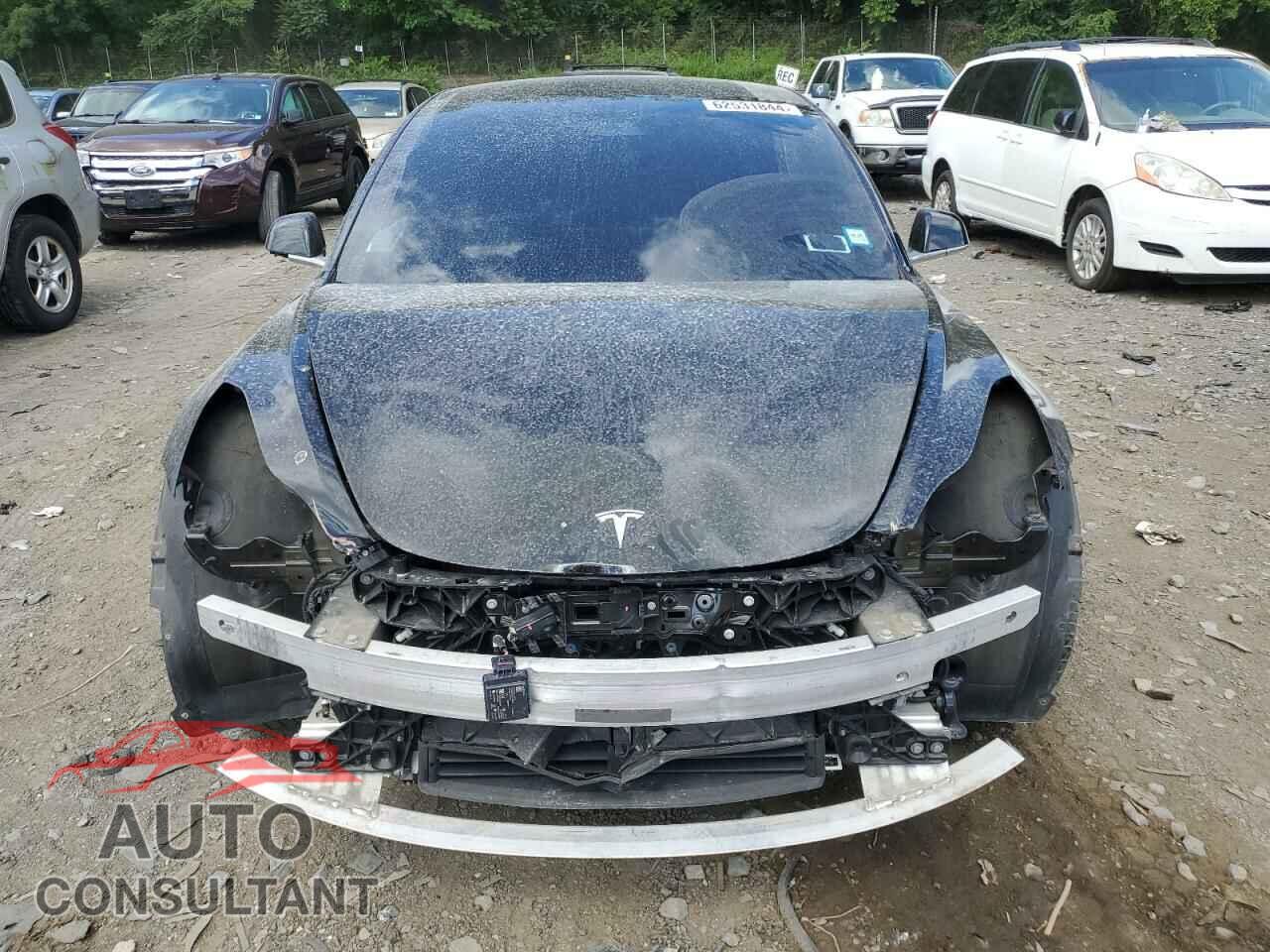 TESLA MODEL 3 2019 - 5YJ3E1EA8KF416954
