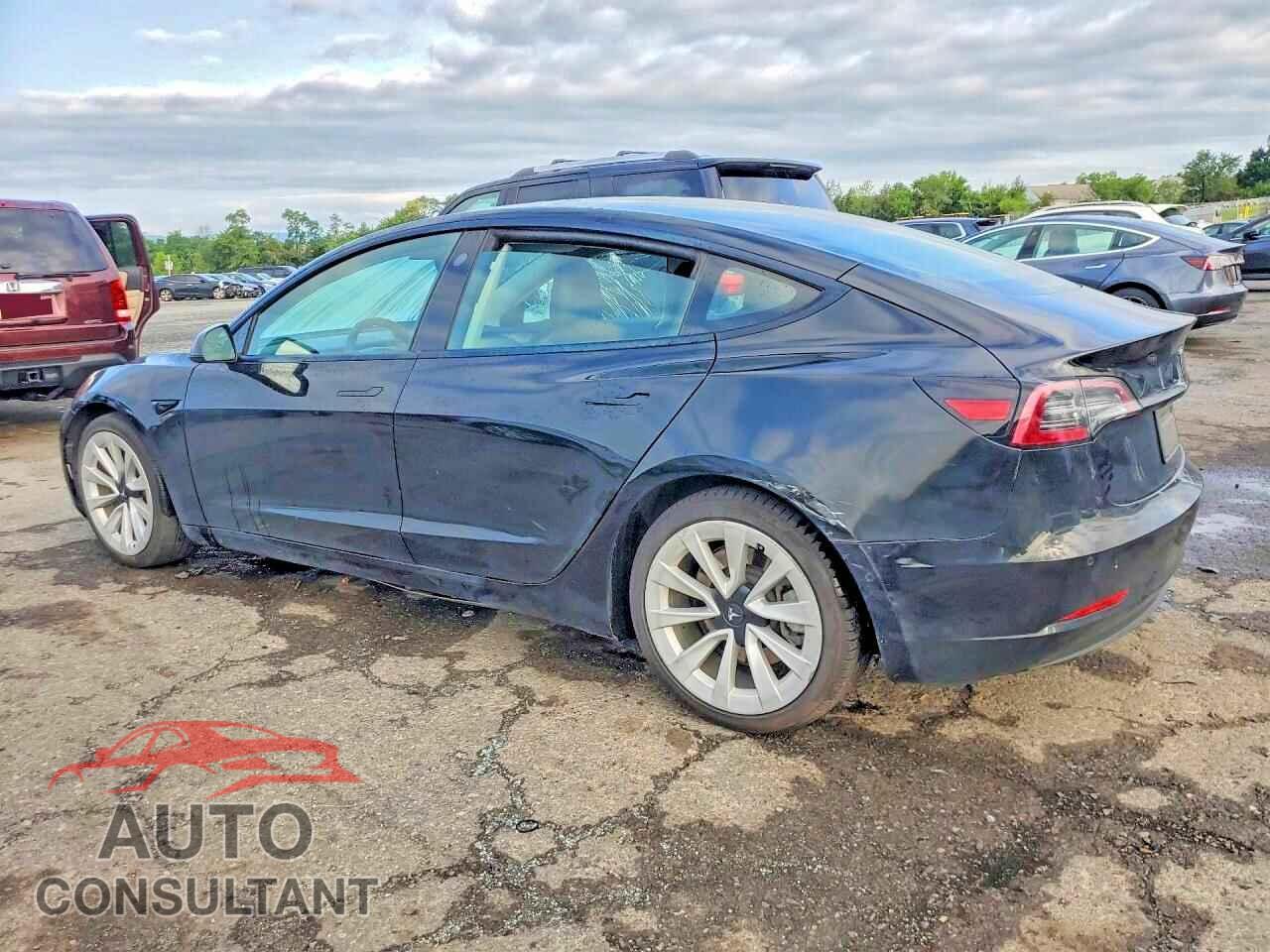 TESLA MODEL 3 2022 - 5YJ3E1EB3NF189802