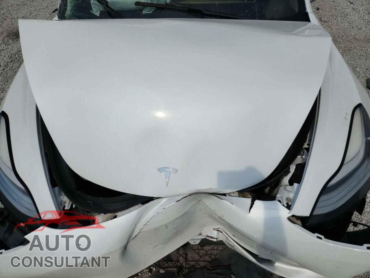TESLA MODEL 3 2019 - 5YJ3E1EA6KF397269