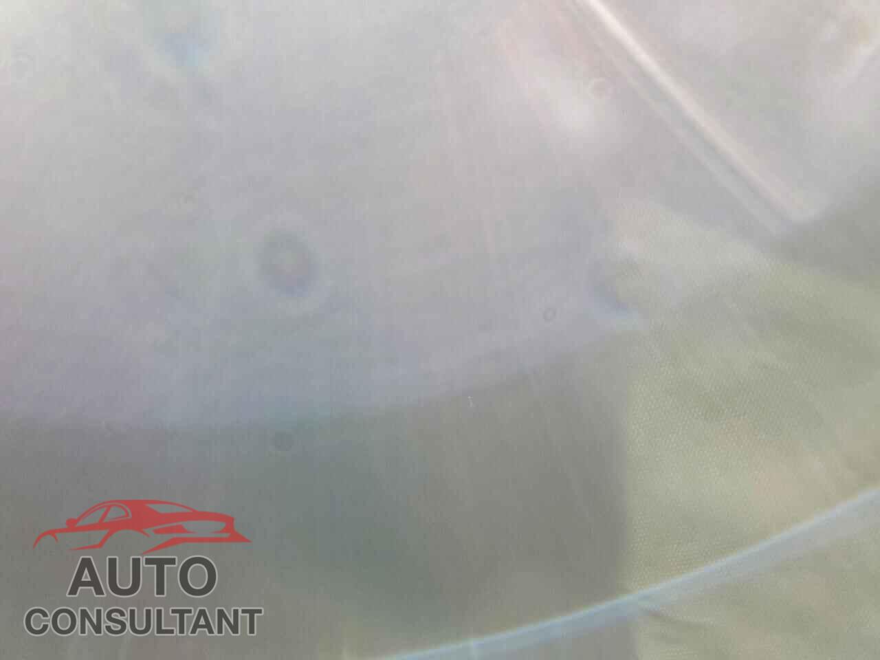 TESLA MODEL 3 2021 - 5YJ3E1EA1MF092281