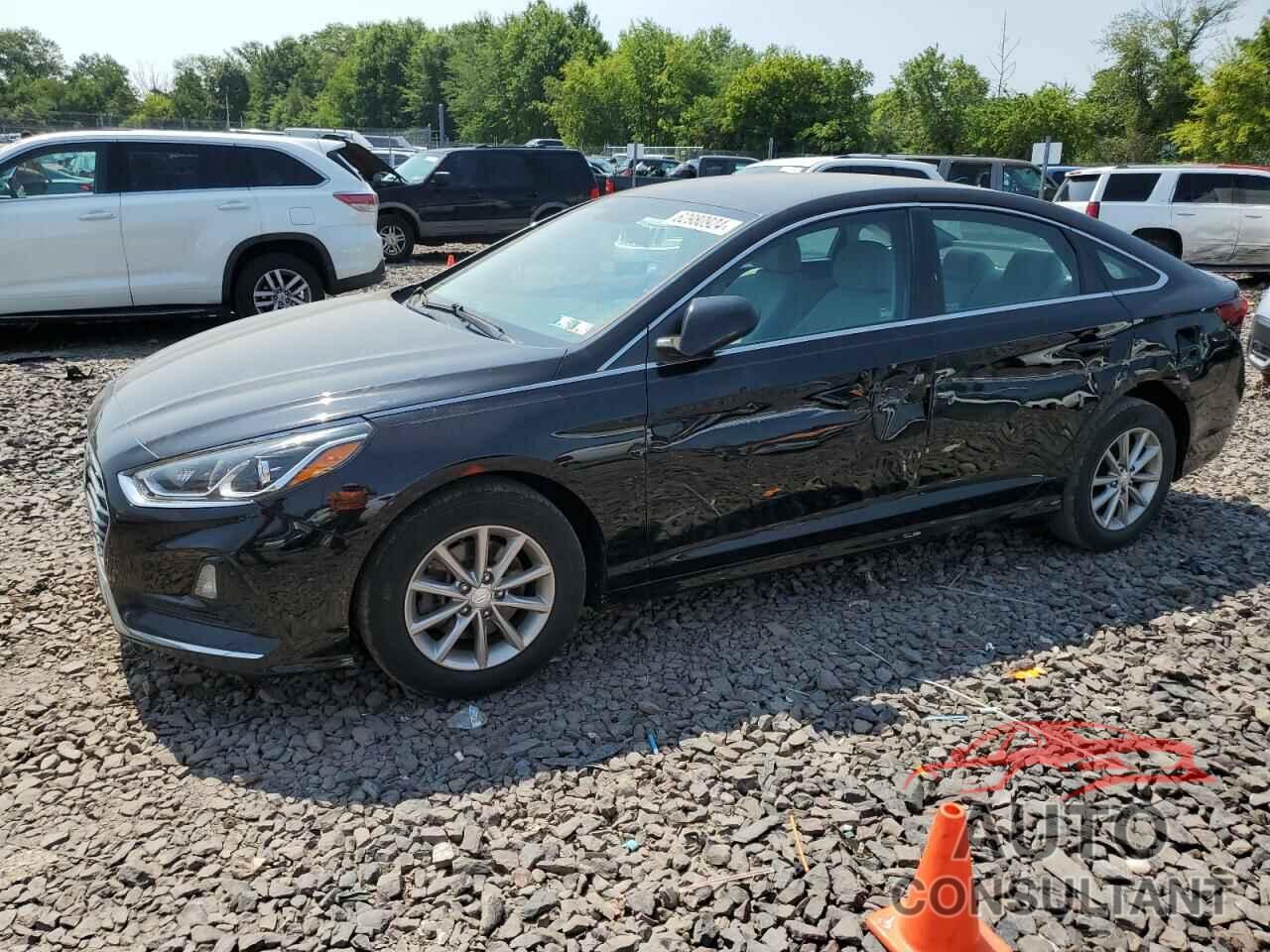 HYUNDAI SONATA 2019 - 5NPE24AF3KH742084