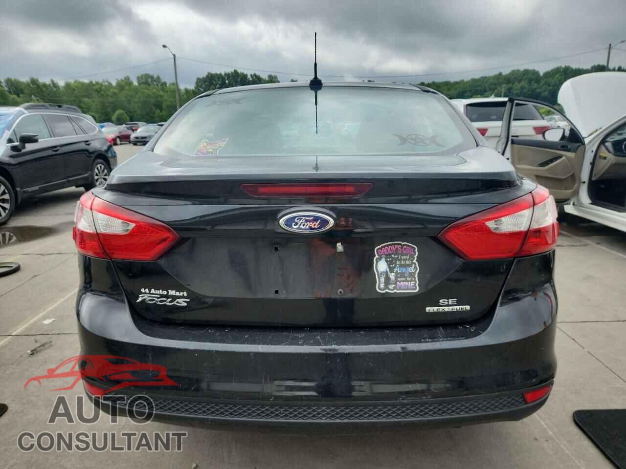 FORD FOCUS 2014 - 1FADP3F24EL179789