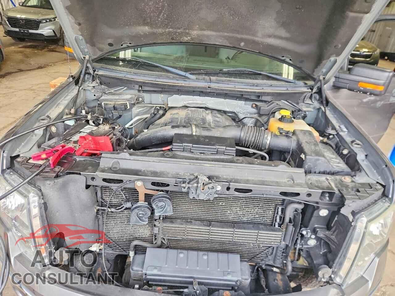 FORD F150 2013 - 1FTFX1ET5DFD53822
