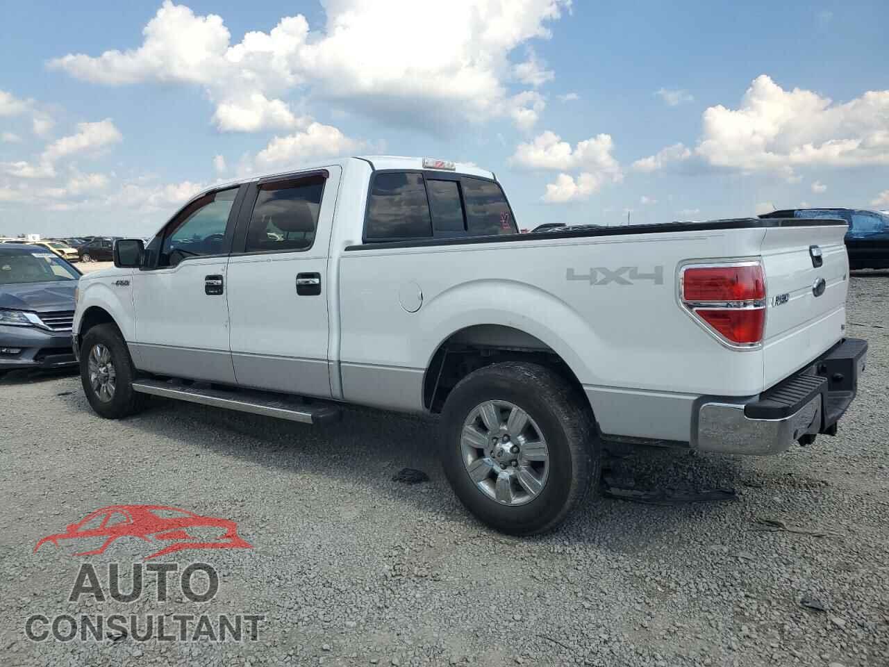 FORD F-150 2010 - 1FTFW1EV8AFC15577