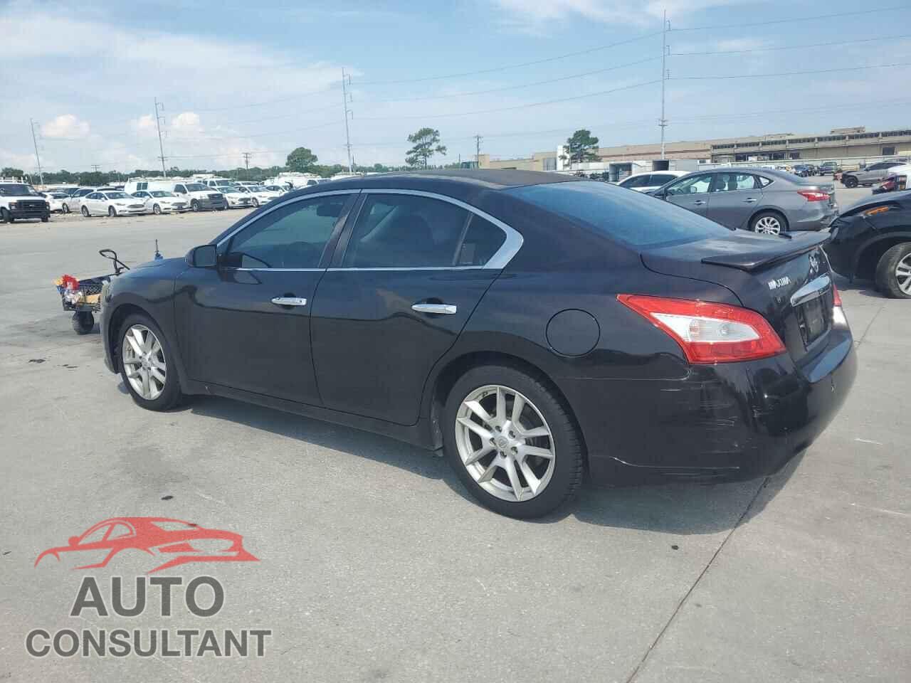 NISSAN MAXIMA 2011 - 1N4AA5AP2BC849287