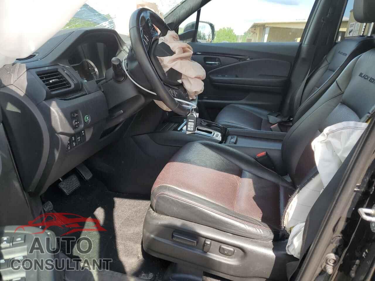 HONDA RIDGELINE 2019 - 5FPYK3F81KB007417