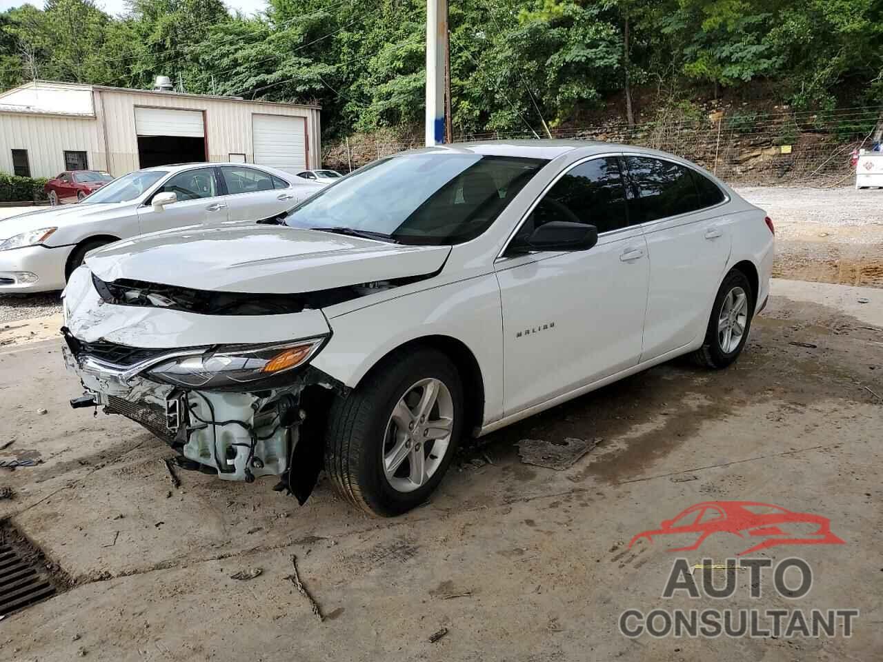 CHEVROLET MALIBU 2019 - 1G1ZB5ST1KF217376