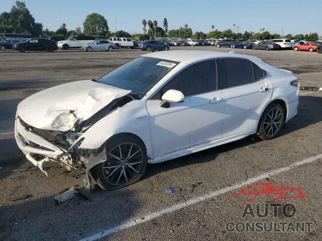 TOYOTA CAMRY 2021 - 4T1G31AK5MU555032