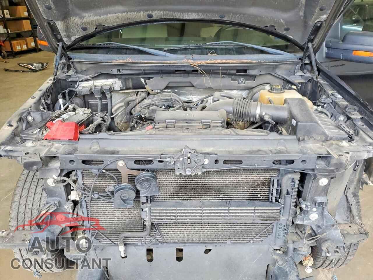 FORD F150 2013 - 1FTEW1CM6DFD82126