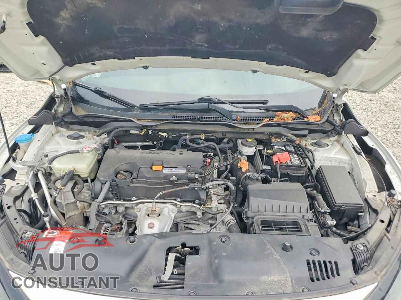 HONDA CIVIC 2019 - 2HGFC2F60KH526069