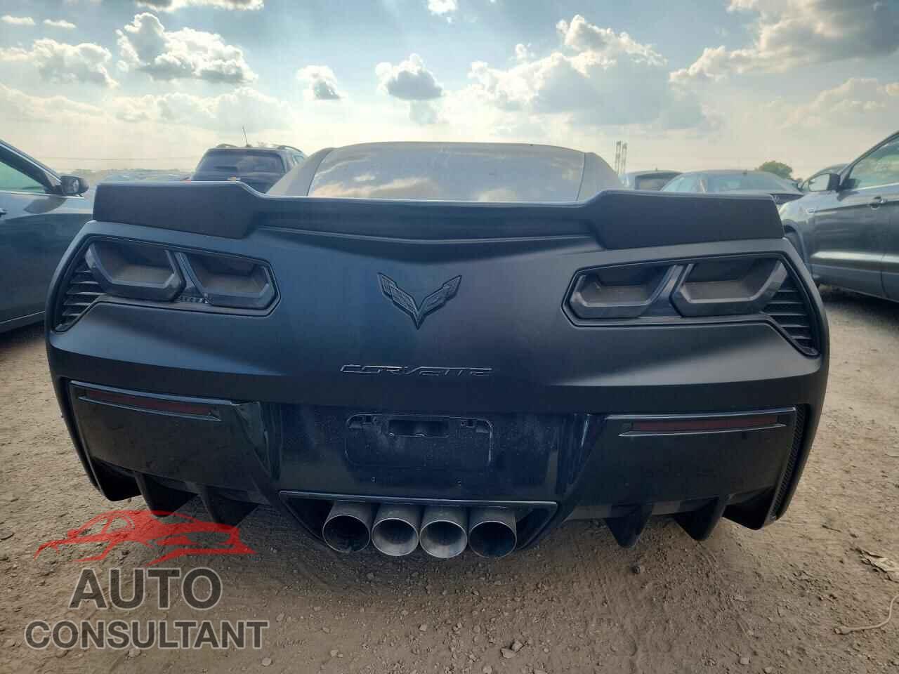 CHEVROLET CORVETTE 2019 - 1G1YF2D76K5115656