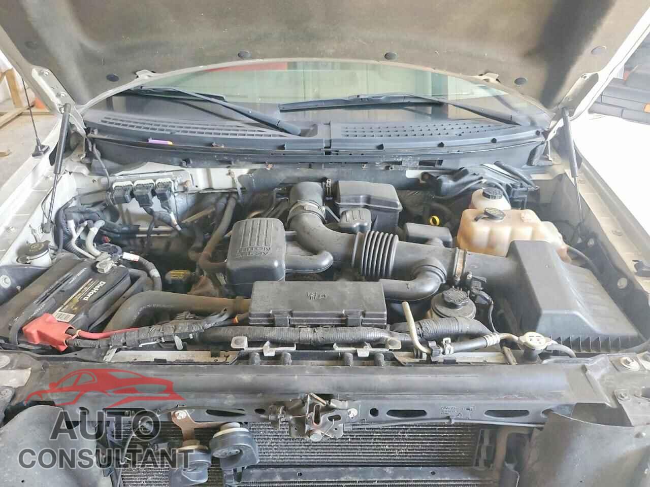 FORD F150 2010 - 1FTFW1EV3AFB86893