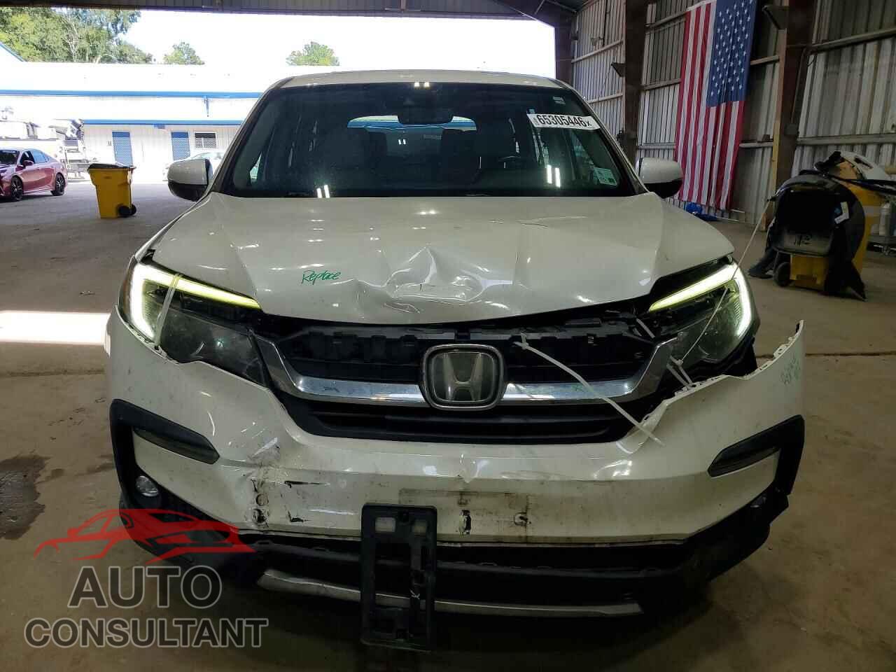 HONDA PILOT 2019 - 5FNYF5H53KB018091