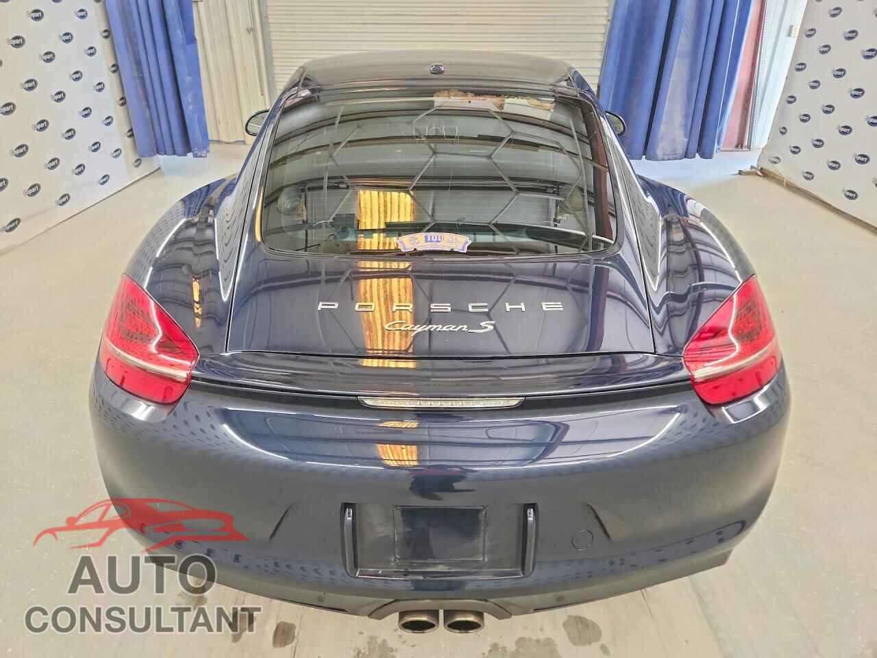 PORSCHE CAYMAN 2015 - WP0AB2A82FK183641