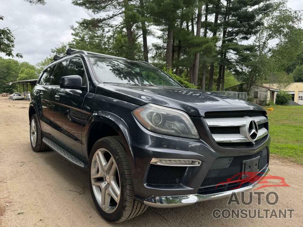 MERCEDES-BENZ GL-CLASS 2014 - 4JGDF7DEXEA301449