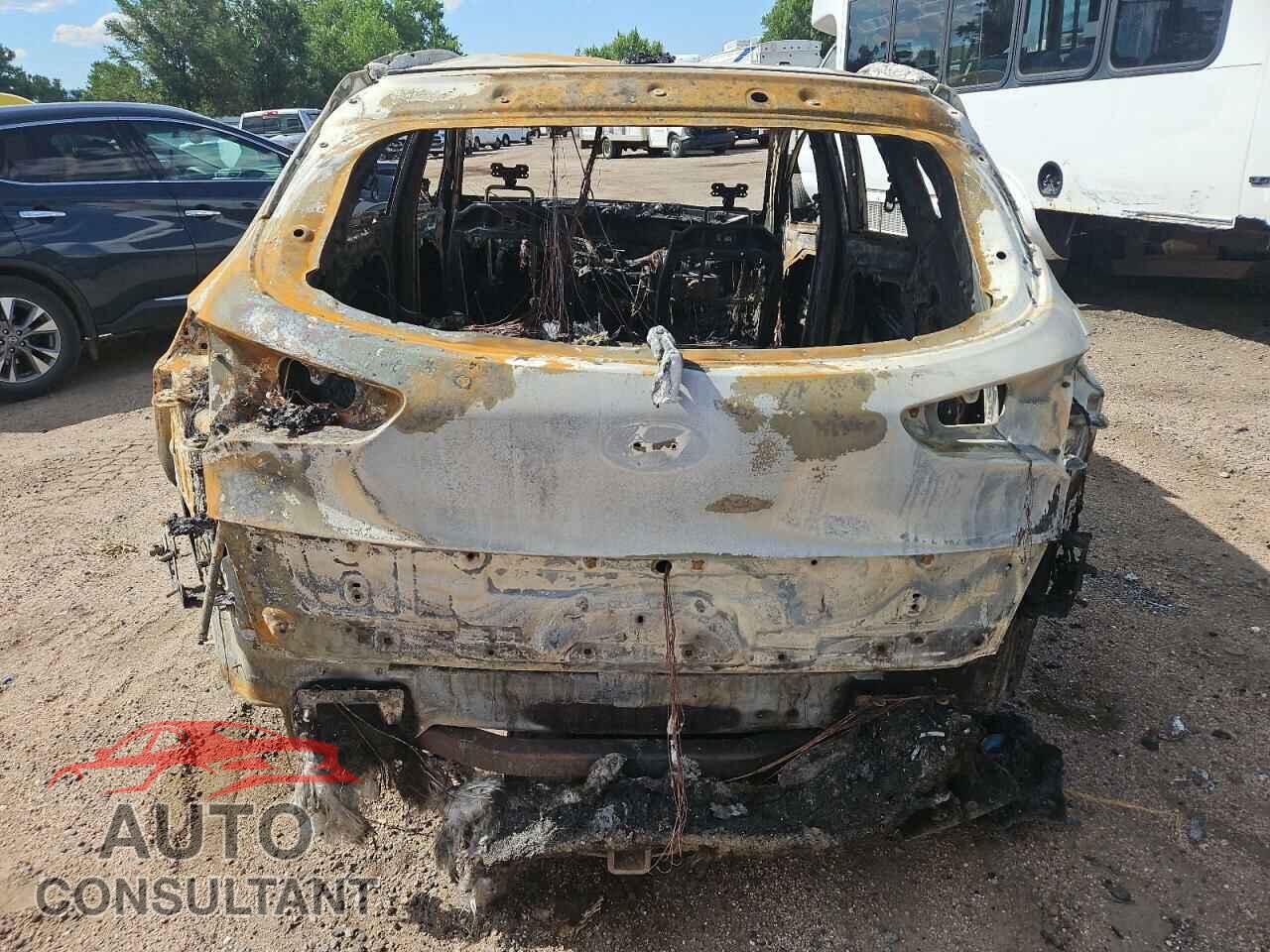 HYUNDAI TUCSON 2016 - KM8J3CA23GU150616