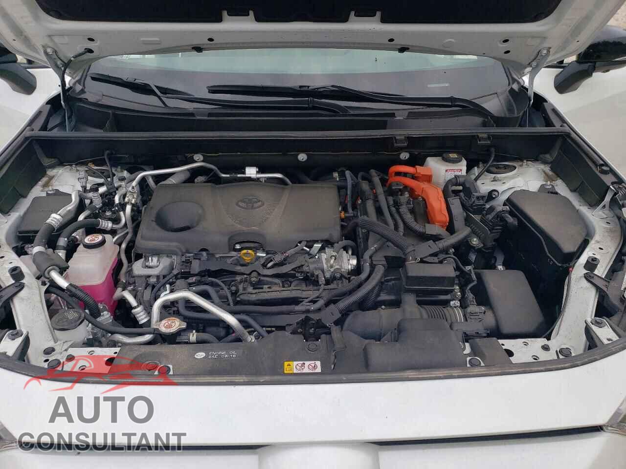 TOYOTA RAV4 2023 - JTMFB3FVXPD114549