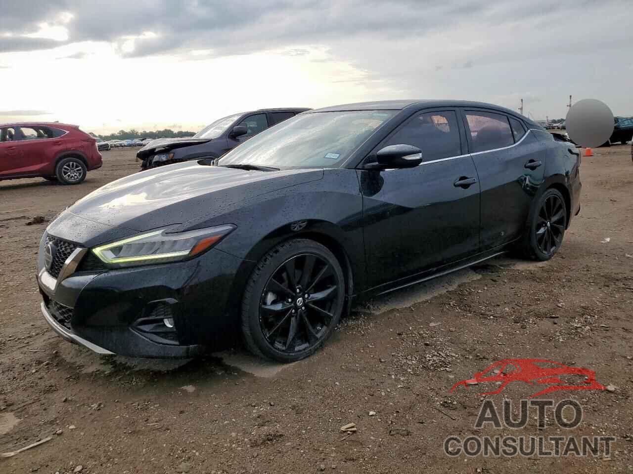 NISSAN MAXIMA 2019 - 1N4AA6AV9KC361121