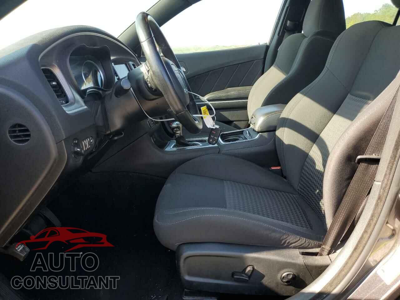 DODGE CHARGER 2019 - 2C3CDXCTXKH549871