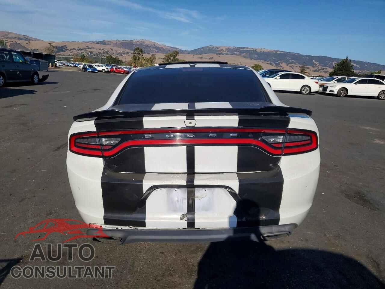 DODGE CHARGER 2019 - 2C3CDXBG7KH728115