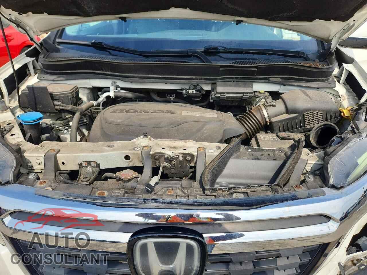 HONDA RIDGELINE 2019 - 5FPYK3F76KB029596