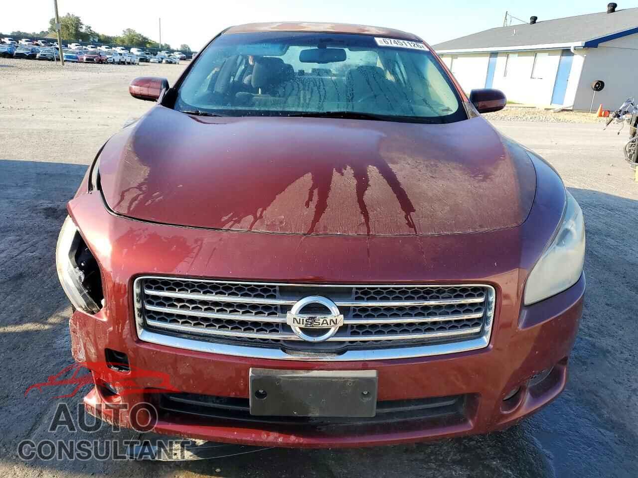 NISSAN MAXIMA 2011 - 1N4AA5AP1BC801683