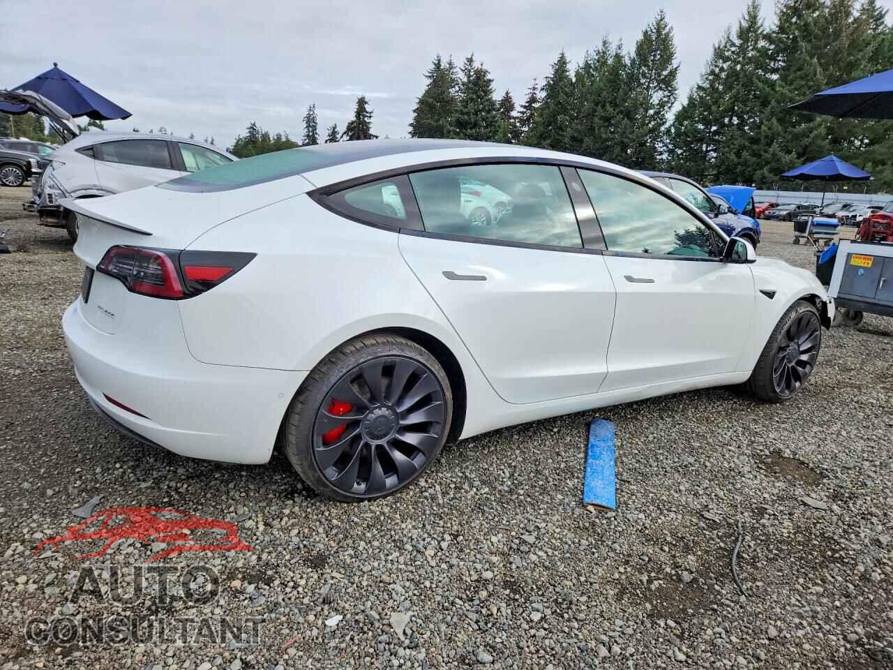 TESLA MODEL 3 2022 - 5YJ3E1EC5NF163825
