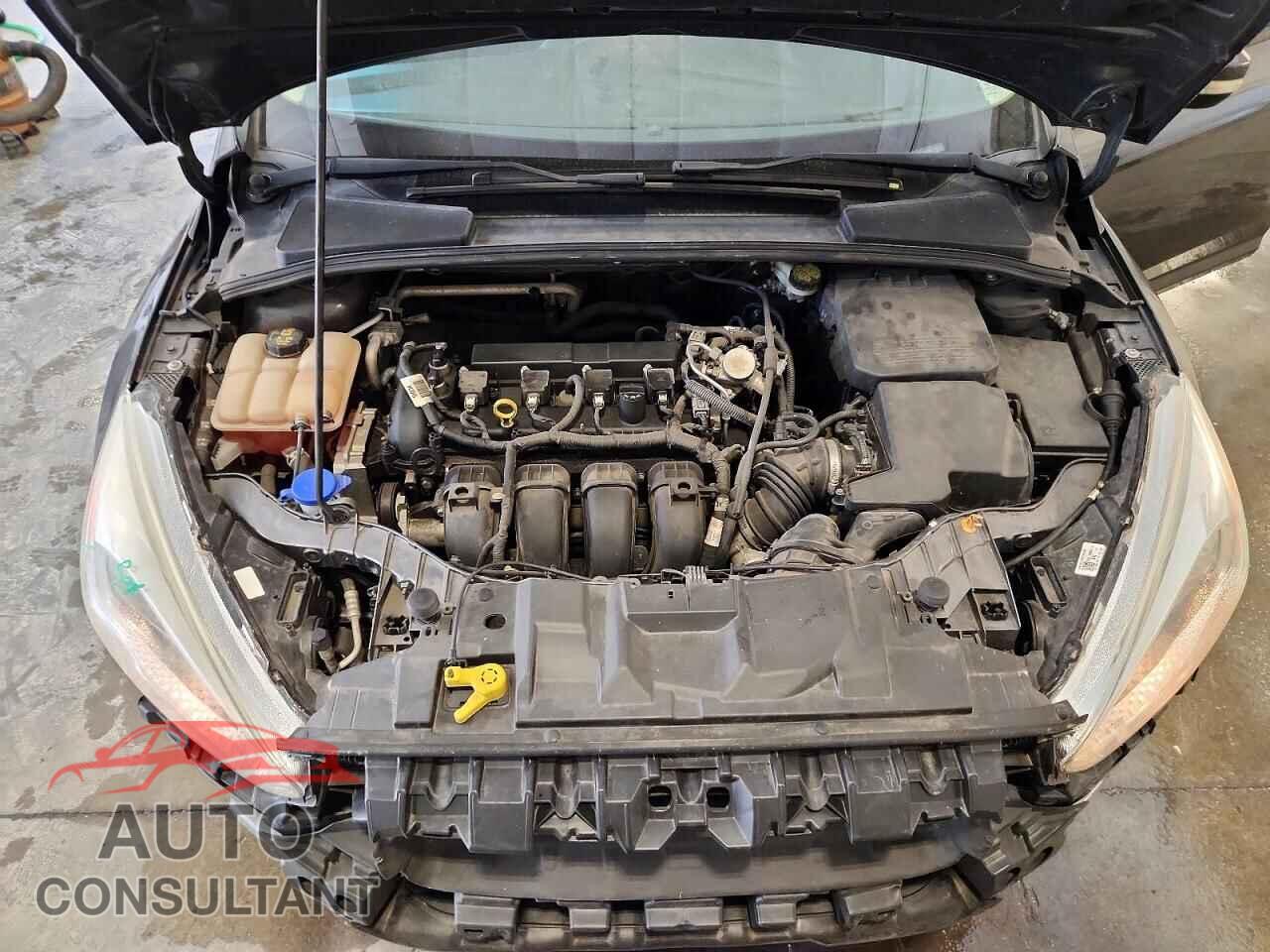 FORD FOCUS 2016 - 1FADP3F26GL315357