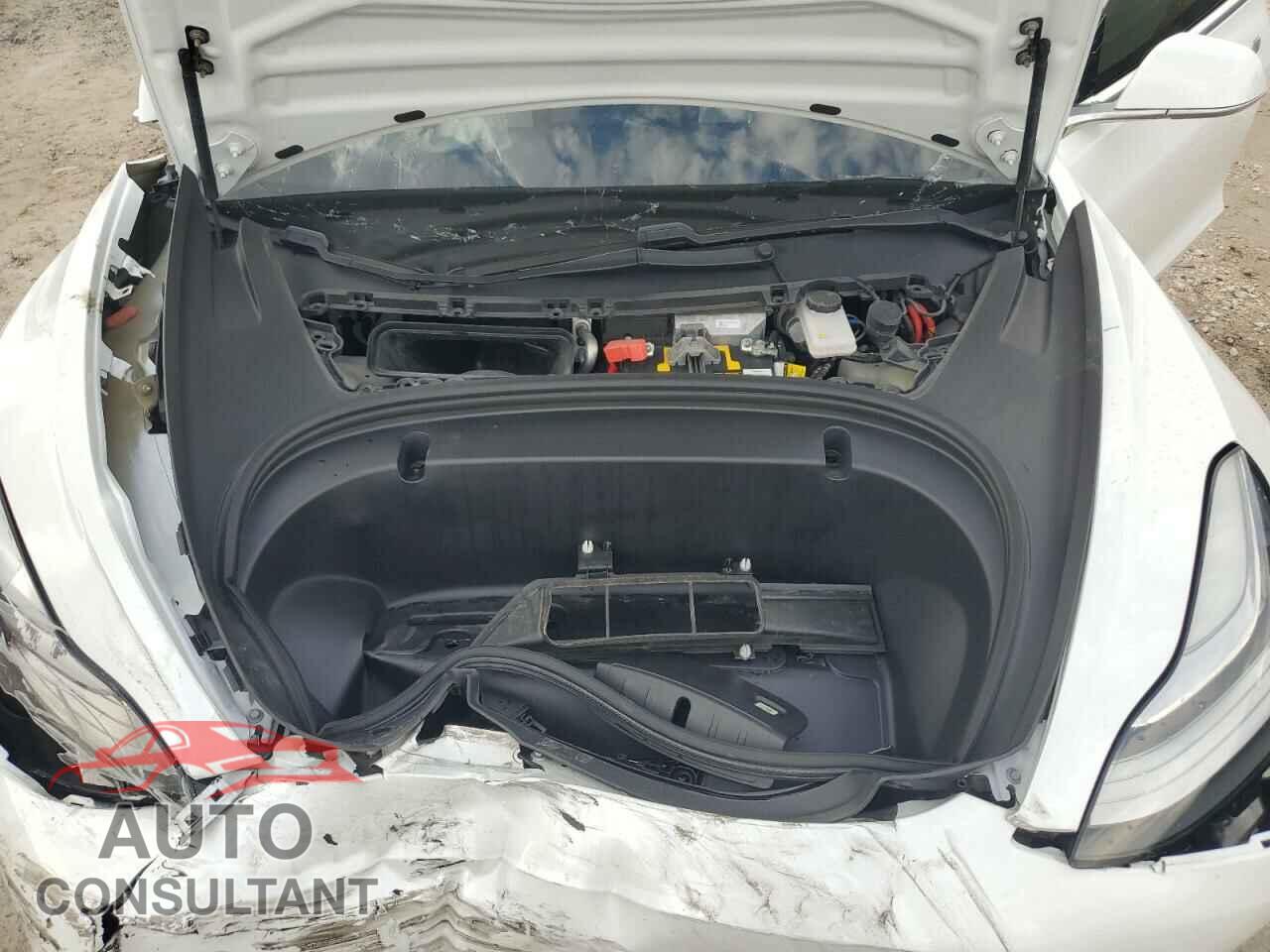TESLA MODEL 3 2020 - 5YJ3E1EB2LF651862