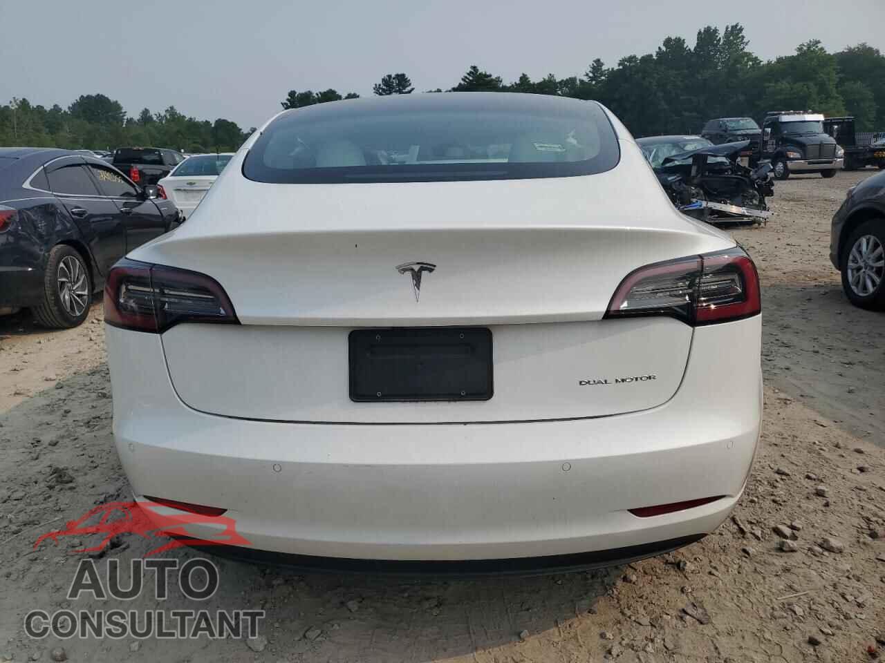 TESLA MODEL 3 2021 - 5YJ3E1EB1MF980621